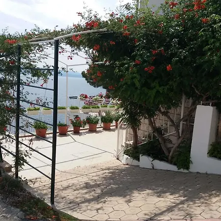 アパート Jakovic *